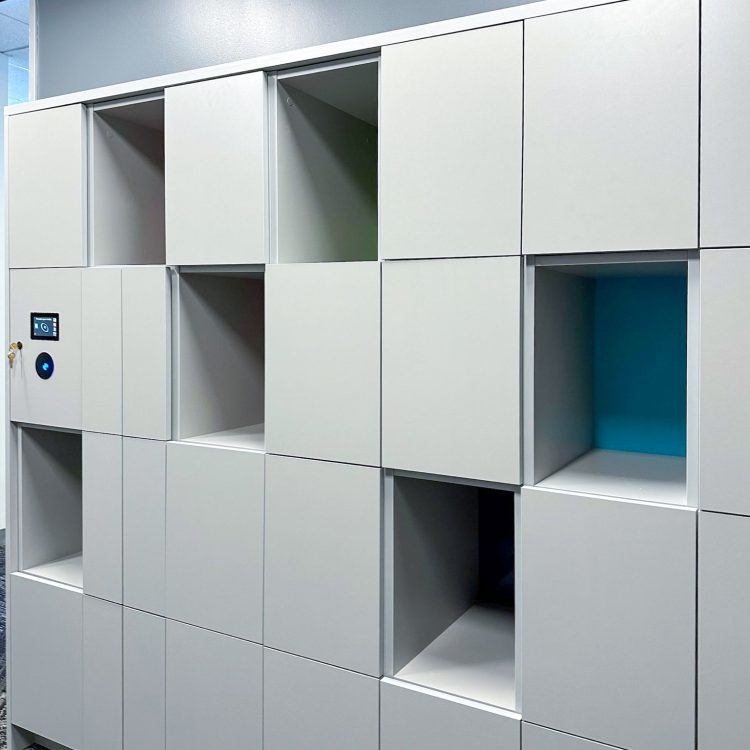 Custom Design Office Smart Lockers